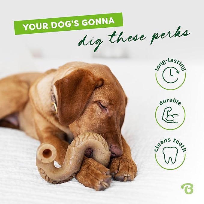 Benebone Tripe Bone Durable Dog Chew Toy for Aggressive Chewers, REAL Beef, Made in USA, Medium