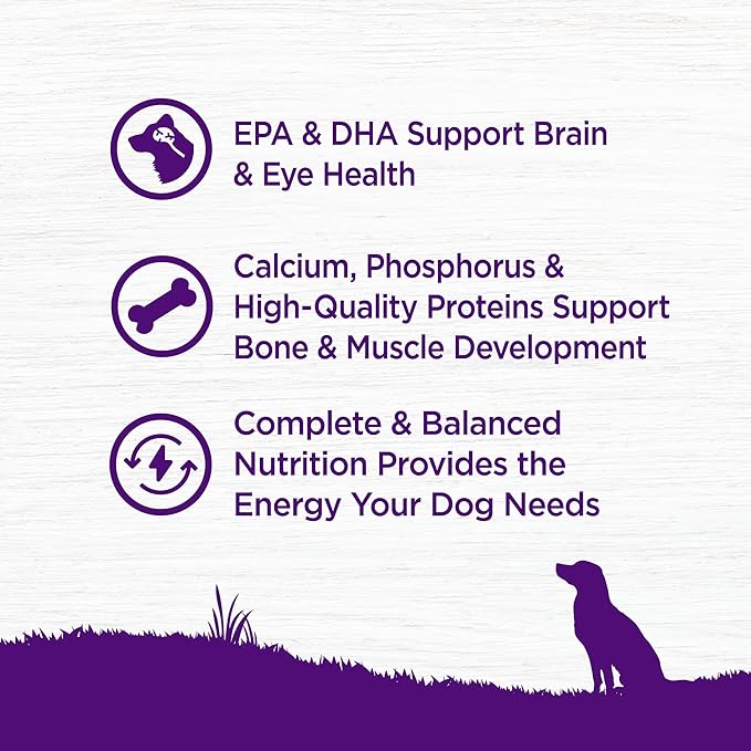 Wellness Complete Health Puppy Dry Dog Food, Grain Free Kibble, Natural, Chicken and Salmon Recipe, 24 lb Bag
