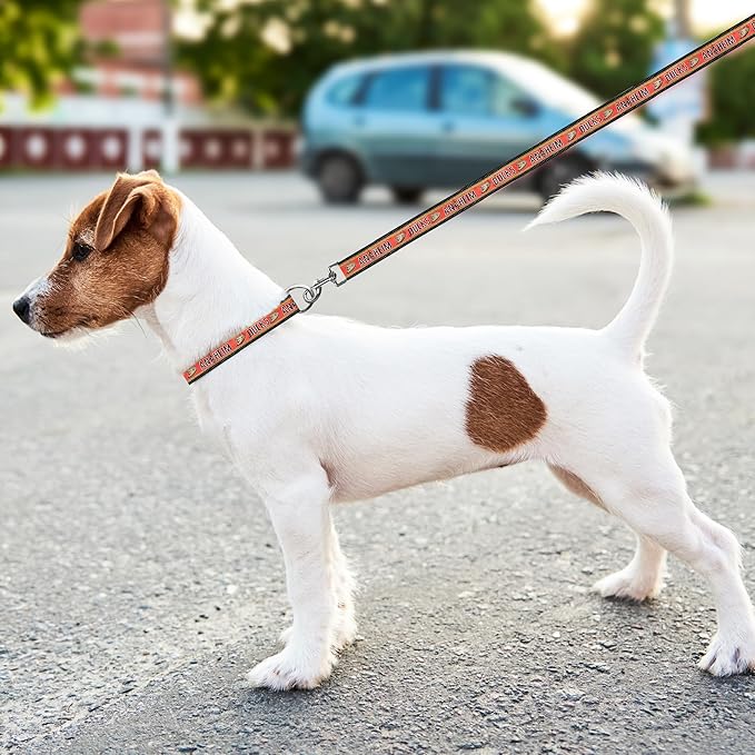 Pets First NHL Anaheim Ducks Leash for Dogs & Cats, Walk Cute & Stylish! The Ultimate Hockey Fan Leash!, Large (6 ft Long x 1 in Width) (ANA-3031-LG)