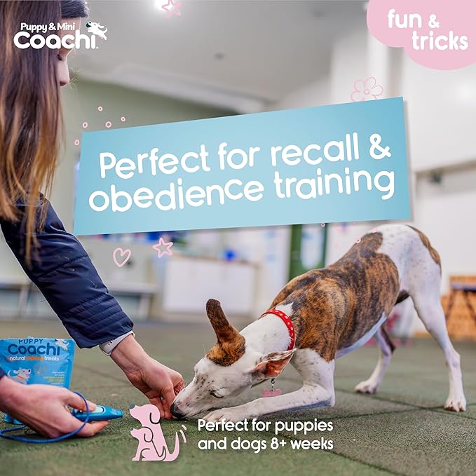 Coachi Puppy & Mini Whizzclick - 2-in-1 Combined Clicker and Whistle, Dog Training Whistle for Recall and Clicker Training for Rewarding, Adjustable and Reflective Lanyard, Suitable for Dogs & Puppies