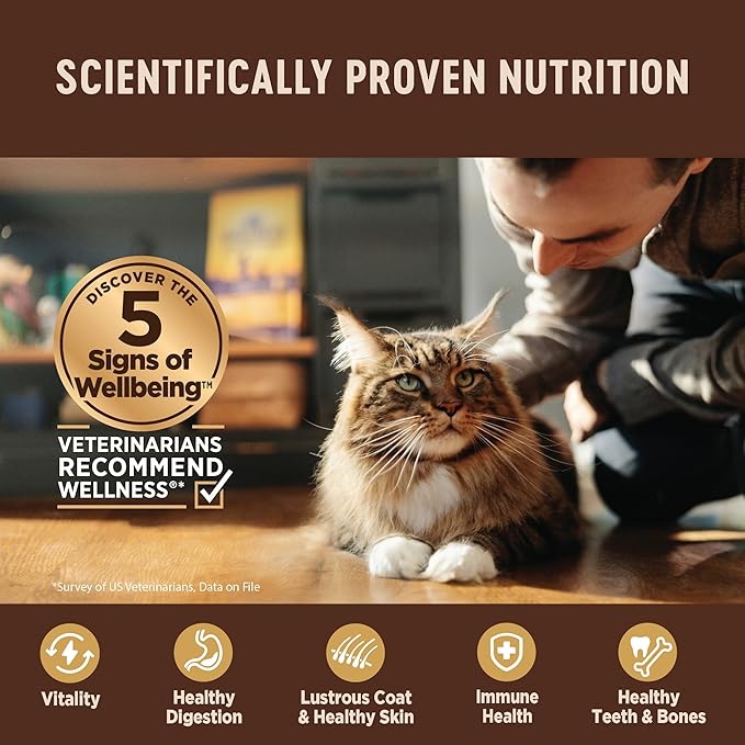 Wellness CORE Pate Adult Canned Wet Cat Food, Natural, Protein Rich, Grain Free, Turkey and Duck Recipe, 5.5 oz, Pack of 12 Cans