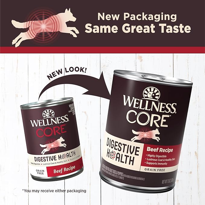 Wellness CORE Digestive Health Pate Adult Canned Wet Dog Food, Grain Free, Sensitive Stomach, Natural, Beef Recipe, 13 oz, Pack of 12 Cans