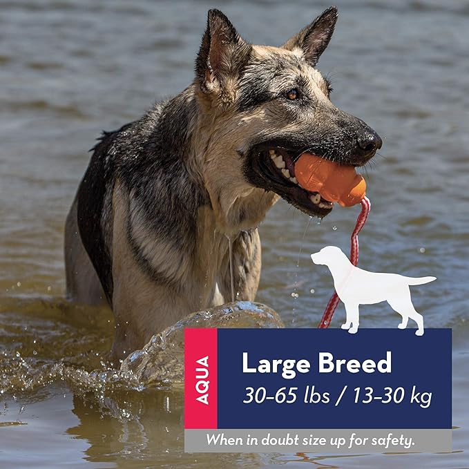 KONG - Aqua and Training Dummy - Floating Fetch Toy for Water Play and Training - for Large Dogs