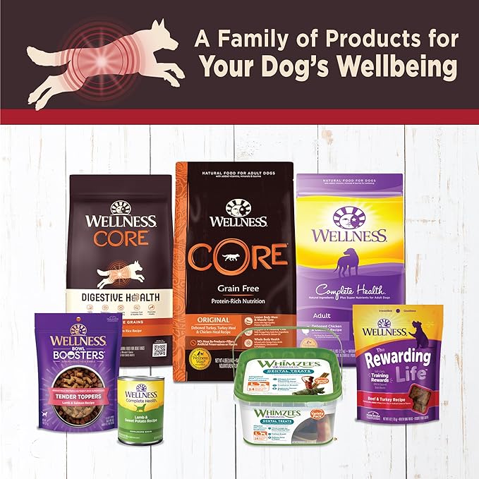 Wellness CORE Digestive Health Pate Adult Canned Wet Dog Food, Grain Free, Sensitive Stomach, Natural, Beef Recipe, 13 oz, Pack of 12 Cans
