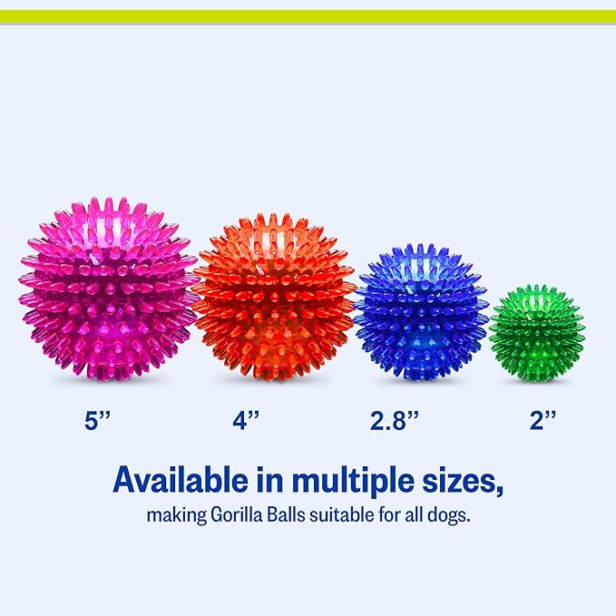 PetSport Gorilla Spiky Ball 5” - Spiky Rubber Dog Ball Toy, Interactive Puppy Toy for Medium and Large Sized Dogs, TPR Rubber, Vanilla Scented - 5 Inch, X-Large