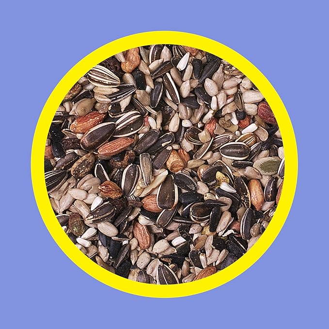 3-D Premium Nut N' Berry Wild Bird Food – Real Fruits, Nuts & Sunflower – No Fillers – Fortified with Vitamins & Electrolytes – Attracts Songbirds, Woodpeckers, Cardinals & More (Pack of 2)