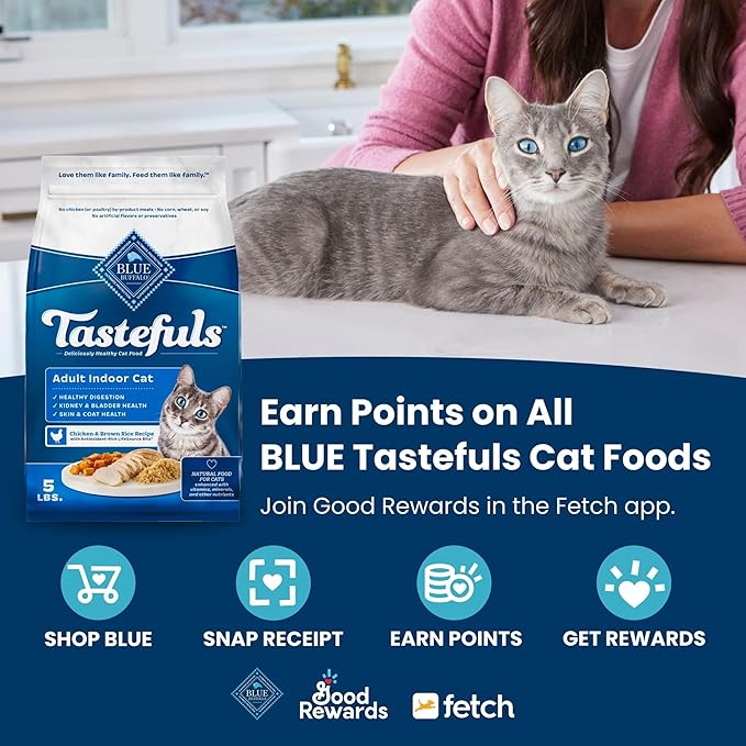 Blue Buffalo Tastefuls Kitten Food With DHA Dry Cat Food Made in the USA with Natural Ingredients, Chicken Recipe, 3-lb. Resealable Bag