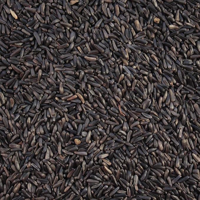 Nyjer Seeds – Premium High Energy Wild Bird Thistle Food – Finches – Garden Backyard Birds – Great for Bird Feeders