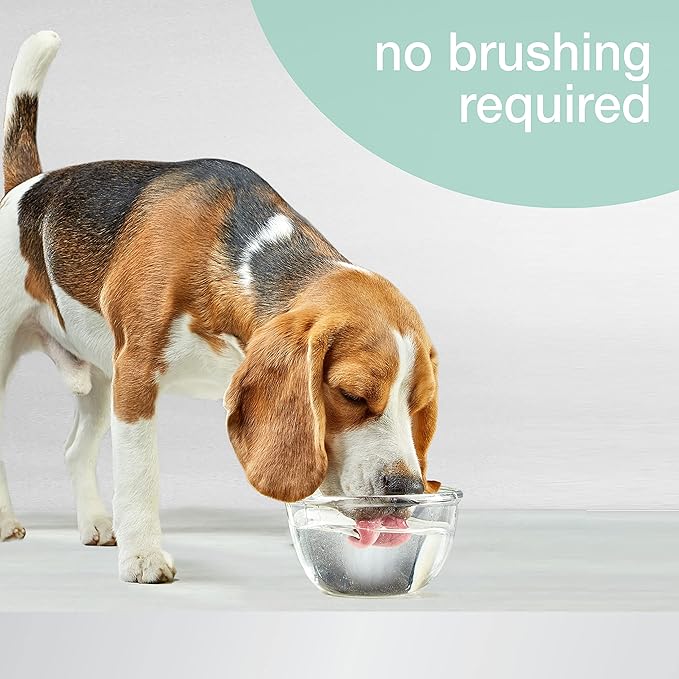 Nylabone Advanced Oral Care Pet Dental Water Additive, Liquid Tartar Remover & Breath Freshener for Dogs, Dog Teeth-Cleaning, Peppermint Flavor, 16 oz.