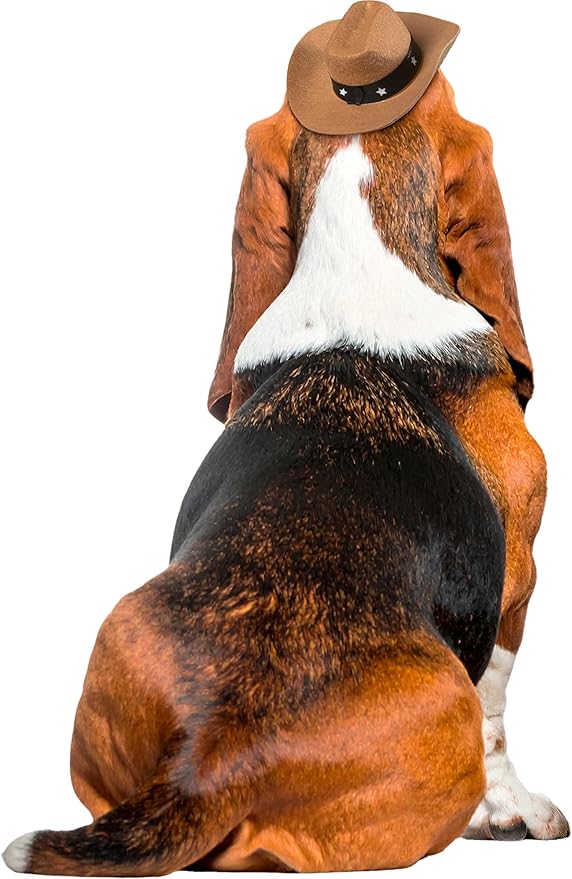 Rubies Cowboy Pet Hat for Dogs or Cats, S/M