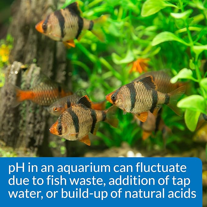 API pH TEST & ADJUSTER KIT 250-Test Freshwater Aquarium Water pH Test and Adjuster Kit