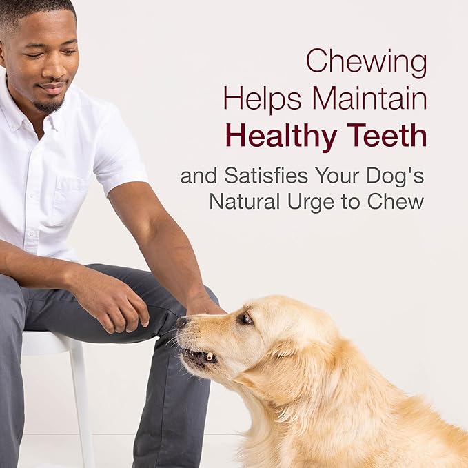 SmartBones SmartSticks, Treat Your Dog to a Rawhide-Free Chew Made with Real Chicken and Vegetables, 10 Sticks, (Pack of 2)