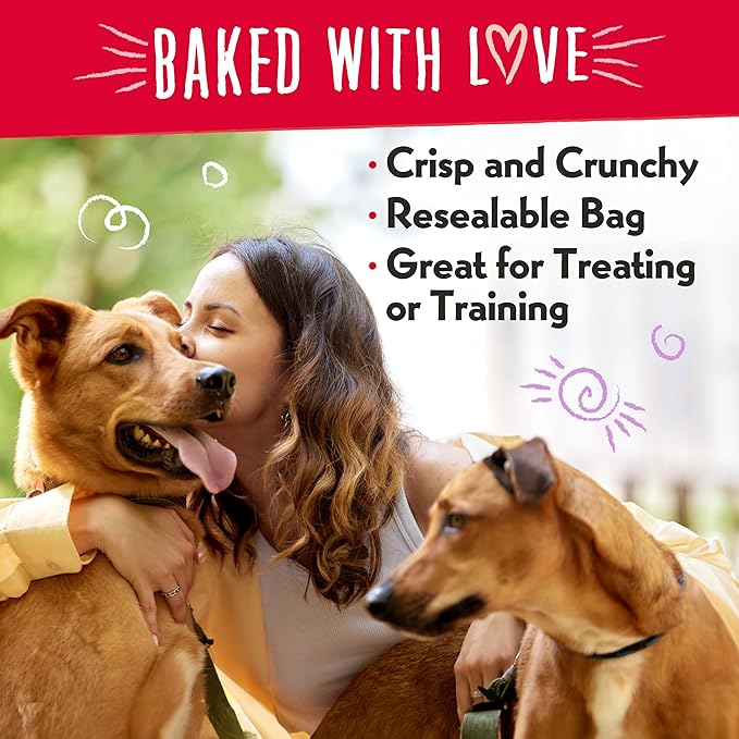 Charlee Bear Bearnola Bites Crunchy Dog Treats, Pumpkin Spice, 8 Ounce Resealable Bag, Limited Ingredient, Natural, Healthy Granola Dog Snacks, Made in USA