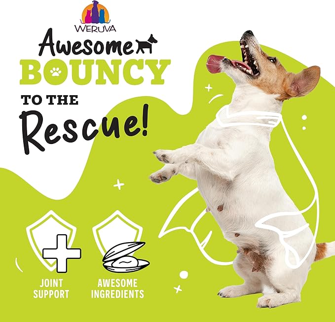 Weruva Awesome Bouncy Wet Dog Food, Chicken & Brown Rice, 6oz Can (Pack of 8)