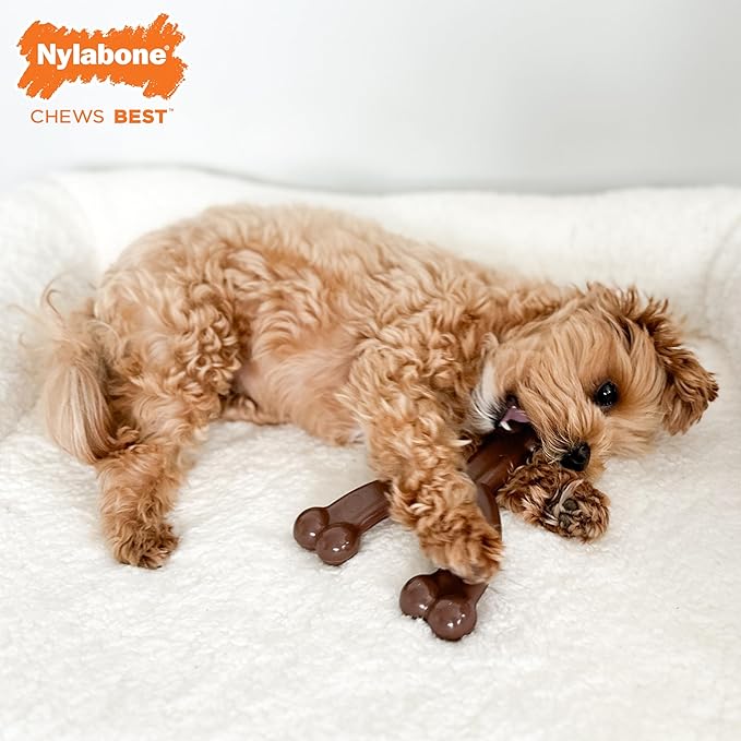 Nylabone Wishbone Flexi Chew Toy for Dogs, Flexible Dog Toys for Moderate & Gentle Chewers, Flavor Medley Flavor, Medium - Up to 35 lbs, 1 Count