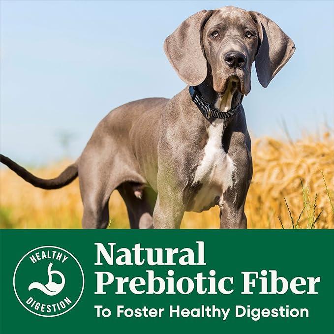 Nutro Natural Choice Dry Puppy Food, Dry Dog Food for Puppies, Chicken and Brown Rice Recipe, 13 lbs.