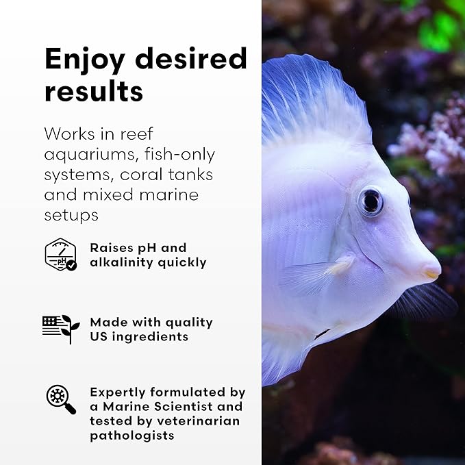 Brightwell Aquatics pH+ Alkalinity and pH Booster for Marine & Reef Aquariums Increases pH and KH Stability for Coral Growth and Enhances Carbonate Levels, 20L