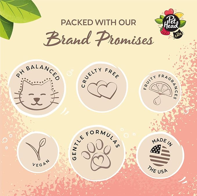 Pet Head Felin' Good Cat No Rinse Foam | Fruity Scent with Aloe Vera | Dry Cat Shampoo for Smelly Cats | Vegan | Lick-Safe | Gentle Formula for Kittens | Made in USA | 6.7 fl. oz.