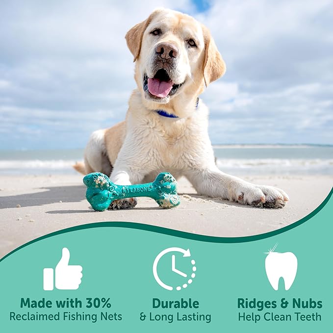 Nylabone Love Our Oceans Frenzy Bone Power Chew Toy for Dogs, Recycled & Sustainable Dog Chew Bones, Made in USA, Bacon & Cheese Flavor, Extra-Large Dog Toys - 50+ lbs, 1 Count