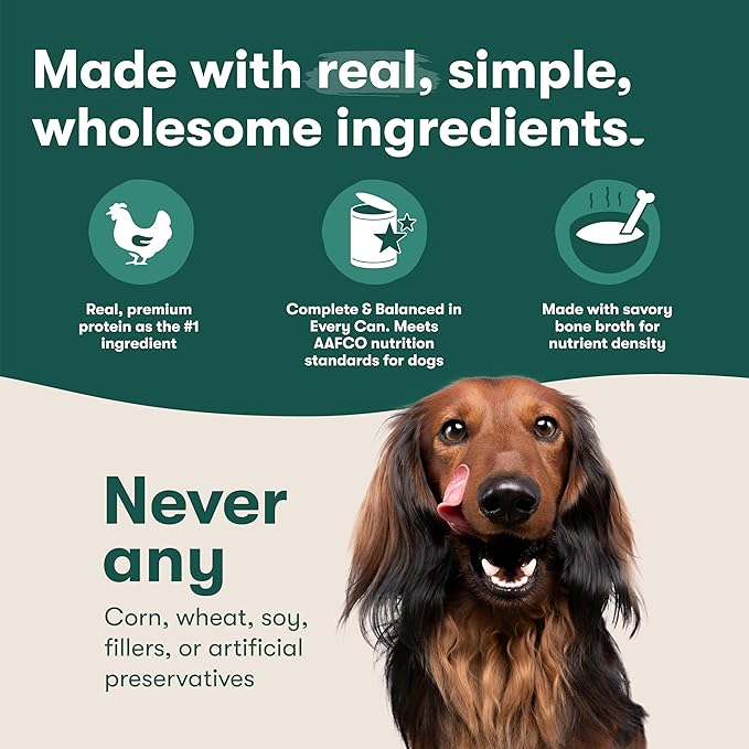 Jinx Bone Broth Stew for Dogs - Chicken & Vegetables Recipe - Grain-Free Wet Dog Food & Topper for Picky Eaters - Promotes Lean Muscle Growth, A Healthy Coat & Improved Digestion - 13 Oz, 12 Pack