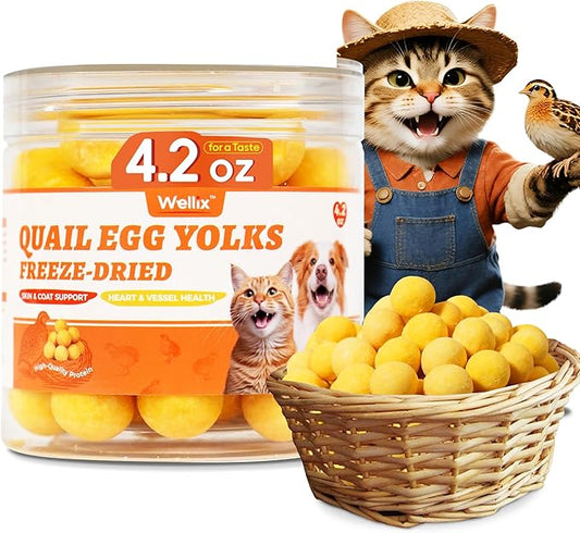 Wellix Freeze-Dried Treats for Dogs and Cats - Quail Eggs Flavor Healthy Cat Treats 4.2oz, High-Protein Freeze Dried Cat Treats for Skin&Coat Health - Delicious Training Snacks for Pets
