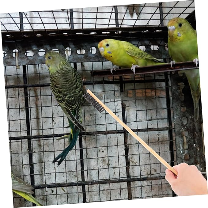 Hemobllo 2pcs Bird Cage Cleaning Brush Shovel Set Guinea Pig Bunny Chicken Coop Reptile Cage Accessory Pet Bird Small Animal Garden Cleaning Tool