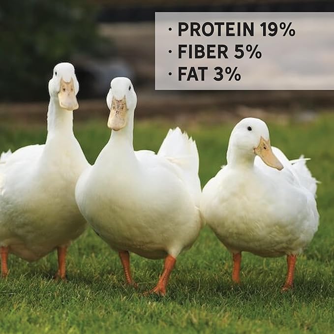 New Country Organics I Organic Duck Grower Feed I 19% Protein I Certified Organic and Soy-Free Duck Food for Healthy Growth | Ideal for Wild & Pet Ducks | Prevents Angel Wing I 40 lbs