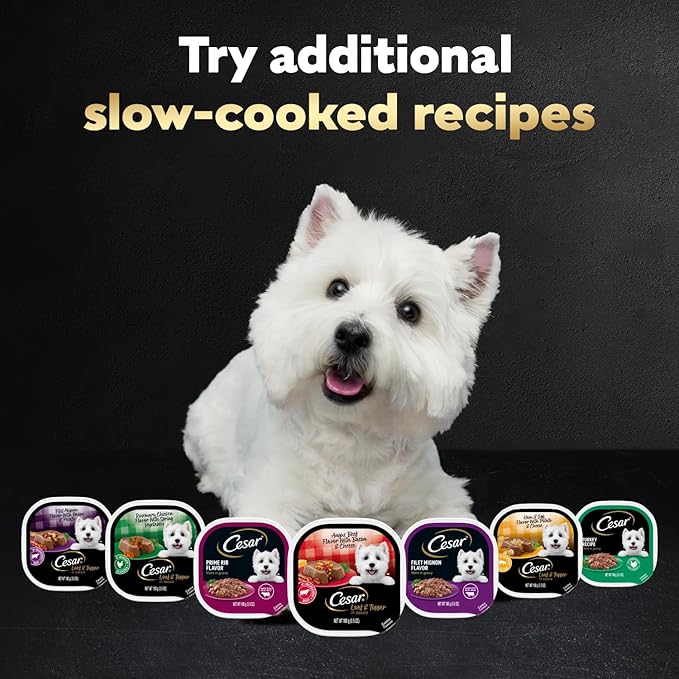 Cesar Loaf & Topper in Sauce Wet Dog Food, Rotisserie Chicken Flavor with Bacon & Cheese, Wet Food for Dogs, 3.5 oz Easy Peel Trays, 24 Count (Pack of 2)
