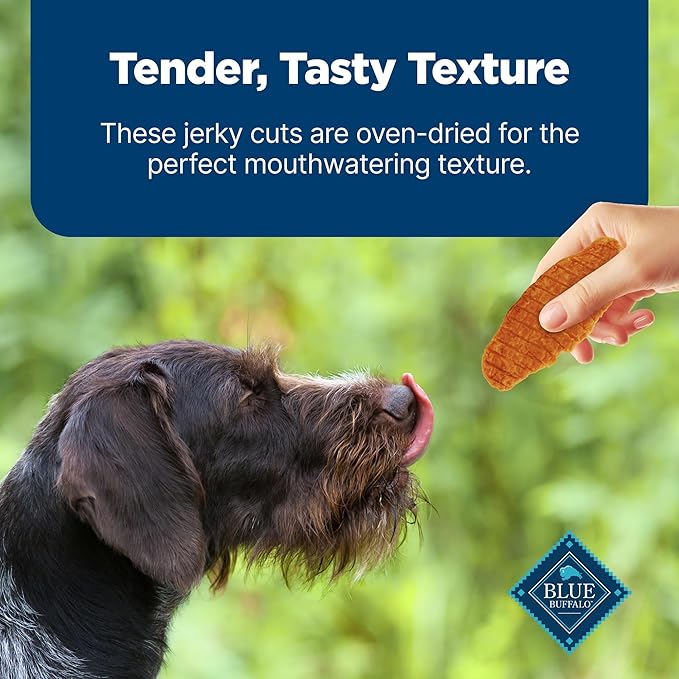 Blue Buffalo Nudges Jerky Cuts Dog Treats, Made in the USA with Natural Ingredients, Chicken & Duck, 16-oz Bag, (Pack of 4)