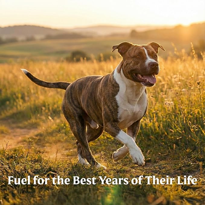 Bil-Jac Picky No More Medium & Large Breed Dry Dog Food | Chicken Liver Recipe | 27 lb