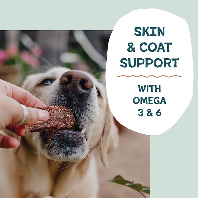 Shameless Pets Jerky Dog Treats, Salmon Loves Butternut - Healthy Dog Chews for Dogs Skin & Coat with Omega 3 & 6 - with Real Wild-Caught Salmon - Free from Grain, Corn & Soy - 1-Pack