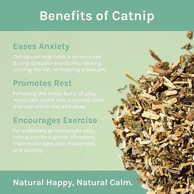 Kitty City Cat Premium Natural Catnip Collection, Catnip Bag 3-Pack