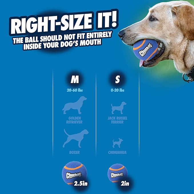 Chuckit! Squeaker Tennis Ball Dog Toy, Small (2 Inch Diameter) Pack of 2, for Breeds 0-20 lbs