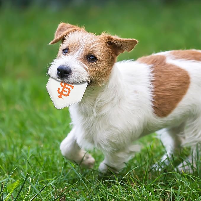 Pets First MLB SAN Francisco Giants Hard-Nylon Baseball Home Plate Dog Chew Toy, Interactive and Fun Dog CHEW Toy, Bacon Flavored, Strong Durable Chew Toy for Pets