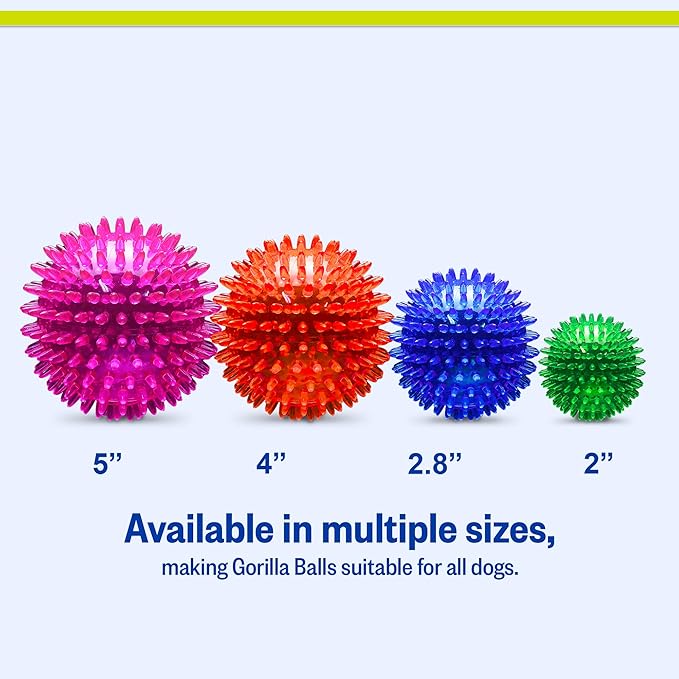 PetSport Gorilla Ball - Dog Toy Ball, Chew Toys for Aggressive Chewers, Interactive Squeaky Toy, Durable, Light & Bouncy, Assorted Colors, All Dogs - 4" Inch, Large (Pack of 2)