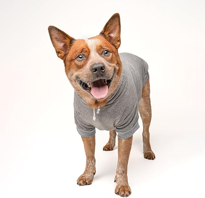 Happy Camping Pullover Fleece Lined Dog Hoodie with Leash Hole (Grey Hooded Sweatshirt)