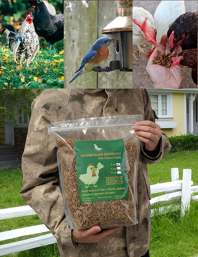 Non-GMO High-Protein Large Dried Black Soldier Fly Larva for Chickens, Natural Grubs and Poultry Treats as Chicken Feed,Duck Food, Wild Birds Seed,Reptile Food(Black Soldier fly-2LB)