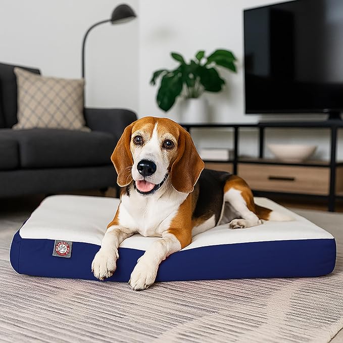 Majestic Pet 34x24x3 Inch Blue Orthopedic Memory Foam Rectangle Dog Bed – Medium Size Crate Dog Bed for Dogs with Joint Pain, Arthritis – Durable Pet Mattress with Egg Crate Foam, Washable Cover