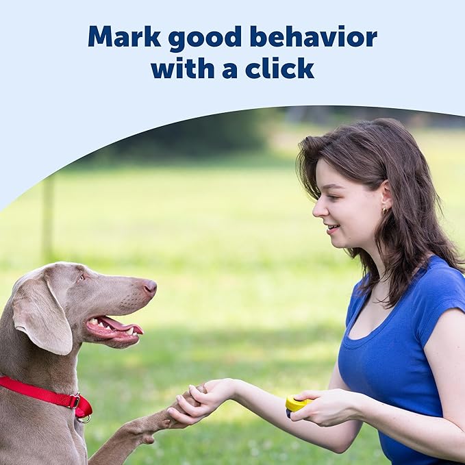 PetSafe Clik-R Training Tool Clicker Trainer for Dogs - Positive Reinforcement Dog Training Marker - All Stages of Life Ergonomic Design Clear Click Sound