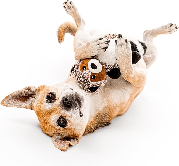 Playology Dog Toys | Plush Raccoon & Squirrel Stuffed Animal for Dogs, Value 2-Pack | Small Peanut Butter & Sweet Potato Scented Squeaky Toys | Plush Chew Toy for Dogs