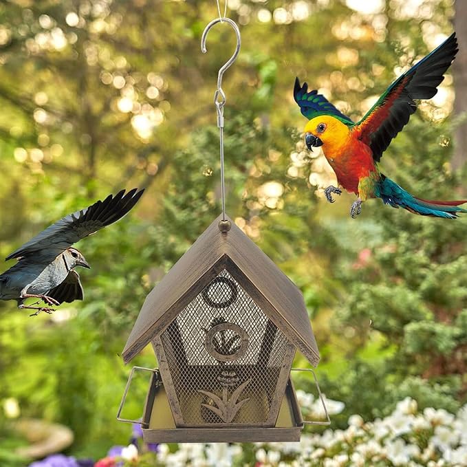 Outdoor Bird Feeder,Large Capacity Squirrel Proof | Outdoor Small Bird Feeder with Buckle | for Backyard Deck Balcony Tree Yard Bluebird Finch Birding Feeding