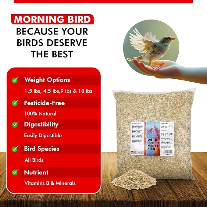 Morning Bird White Proso Millet 9 lbs – Unhulled Natural Bird Seed – Supports Feather Growth & Balanced Nutrition – High Energy Delicious Seed - Ideal for Finches, Parakeets & Pet Birds