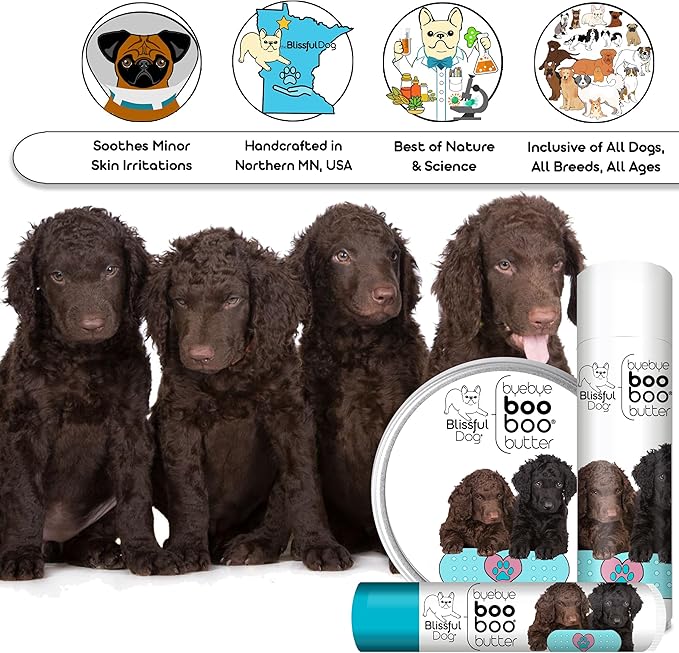 The Blissful Dog Curly-Coat Retriever Boo Boo Butter, 4-Ounce