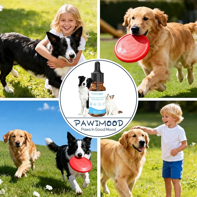 2Pcs Waterless No-Rinse Pet Shampoo Essence for Dogs & Cats with Blue Grooming Gloves | Pomegranate Scent for Skin & Coat Care | Includes 5-Finger Bathing & Massage Gloves for Dogs/Cats