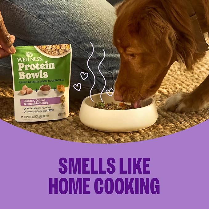 Wellness Protein Bowls Adult Wet Dog Food, Fresh Alternative, Wholesome Grains, Natural, Chicken, Potato, and Peas Recipe, 6.2 oz, Pack of 6 Pouches