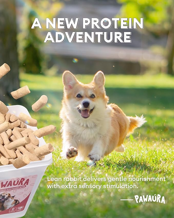 Freeze-Dried Raw Rabbit Treats & Food for Dogs & Cats - 97% Meat & Organs - Single Ingredient Rabbit Mini Nibs - Grain-Free Dog & Cat Food Topper, Mixer or Snack - 3.5 oz