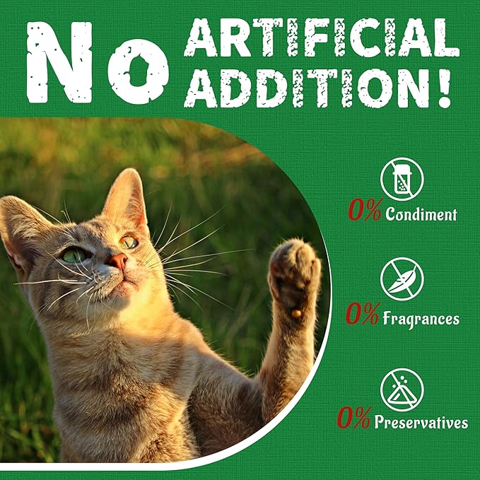 Just Try Cat Treats for Indoor Cats Hairball Control Natural Salmon Healthy Cat Grass Treats Kitten Snacks Training Biscuits Catnip for Cats Dental Care 13.4 OZ