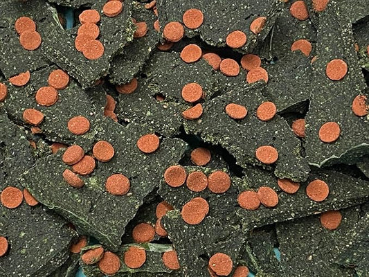 Dehydrated Cory Catfish Treats with Bug Wafers,Krill & Spirulina,Bottom Feeders,Pleco,Snail, Shrimp DCCBW (6oz)