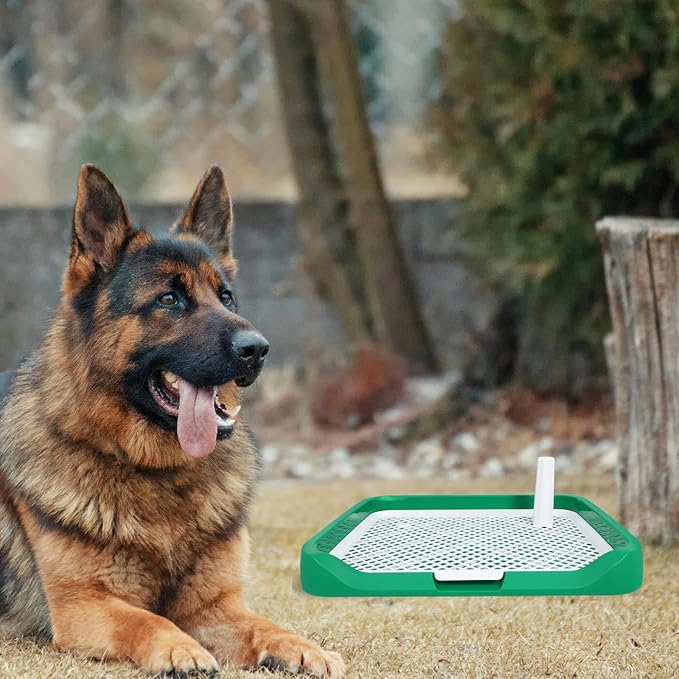 Dog Toilet Indoor Litter Box for Dogs and Puppies with Raised Edges Green Medium Size for Pet Housebreaking and Training