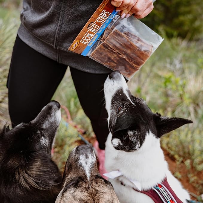 Cadet 100% Beef Strips Dog Treats, Single Ingredient Beef Esophagus Dog Jerky, Healthy High Protein Rawhide Alternative for Small & Large Dogs, 2.8 Ounce
